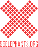 96 Elephants logo