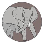 Elephant Listening Project logo