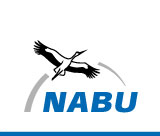 NABU International logo