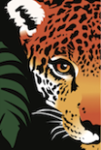 Rainforest Trust logo