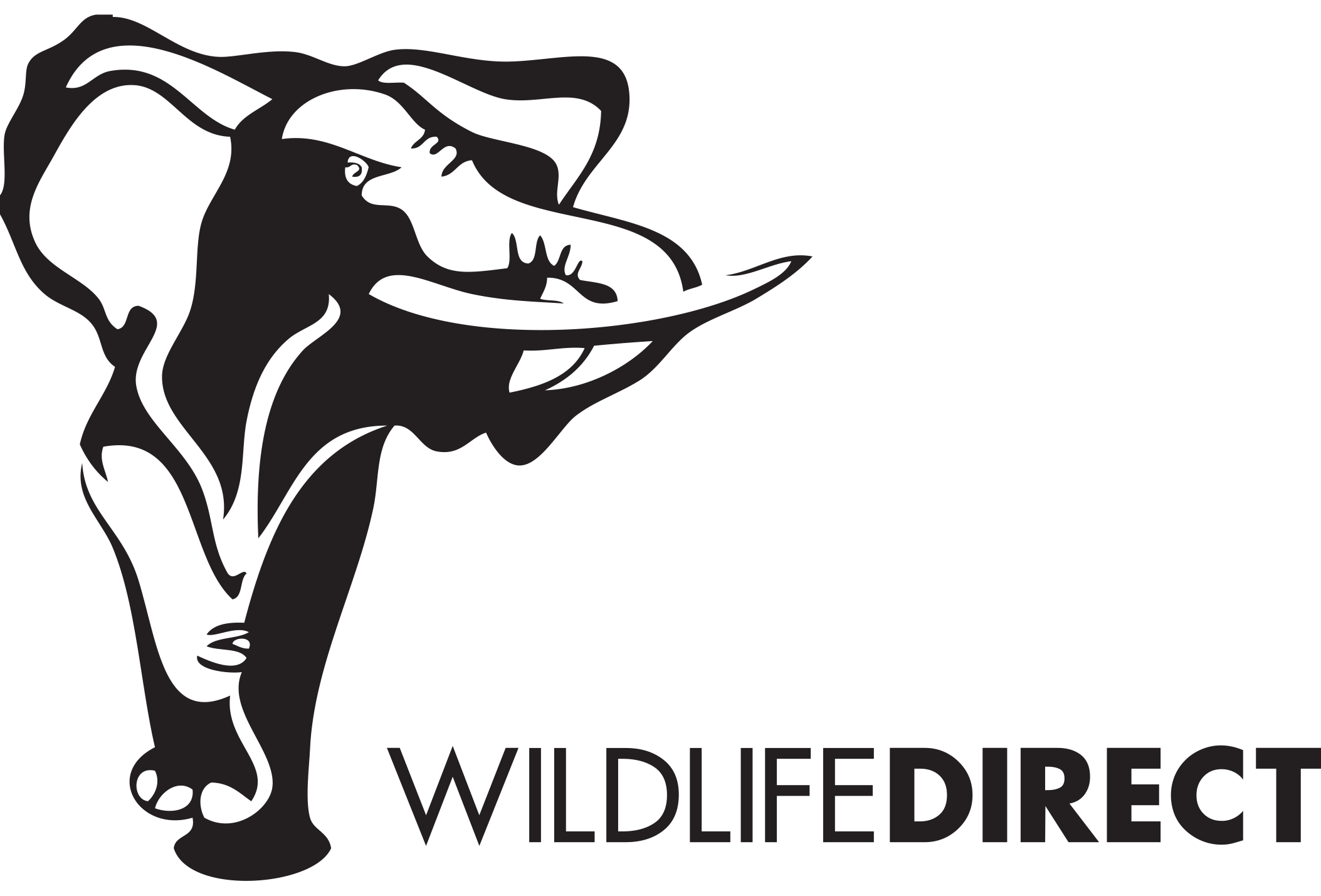 WildlifeDirect logo