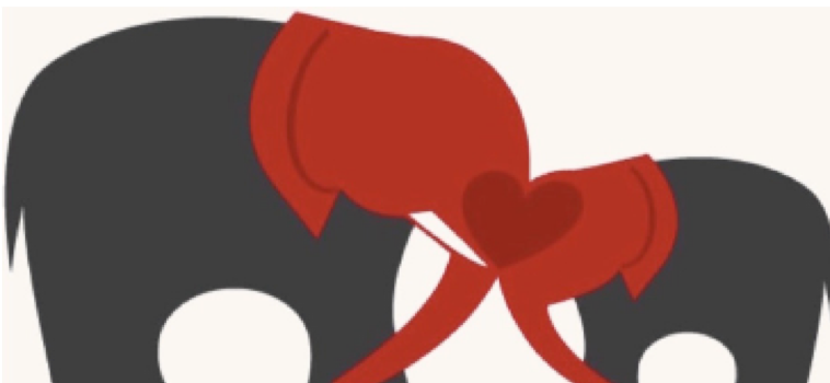 Connection Africa logo