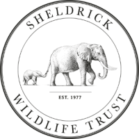 Sheldrick Wildlife Trust logo