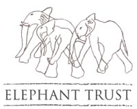 Amboseli Trust for Elephants logo